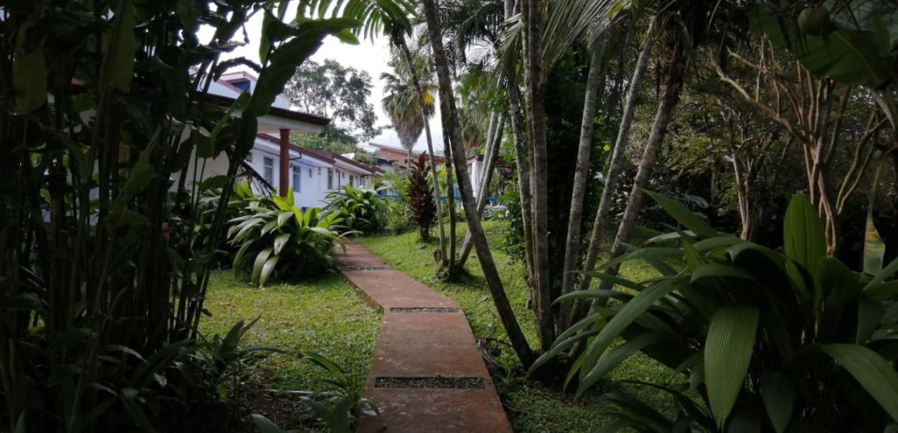 Hotel Geliwa Turrialba Extérieur photo