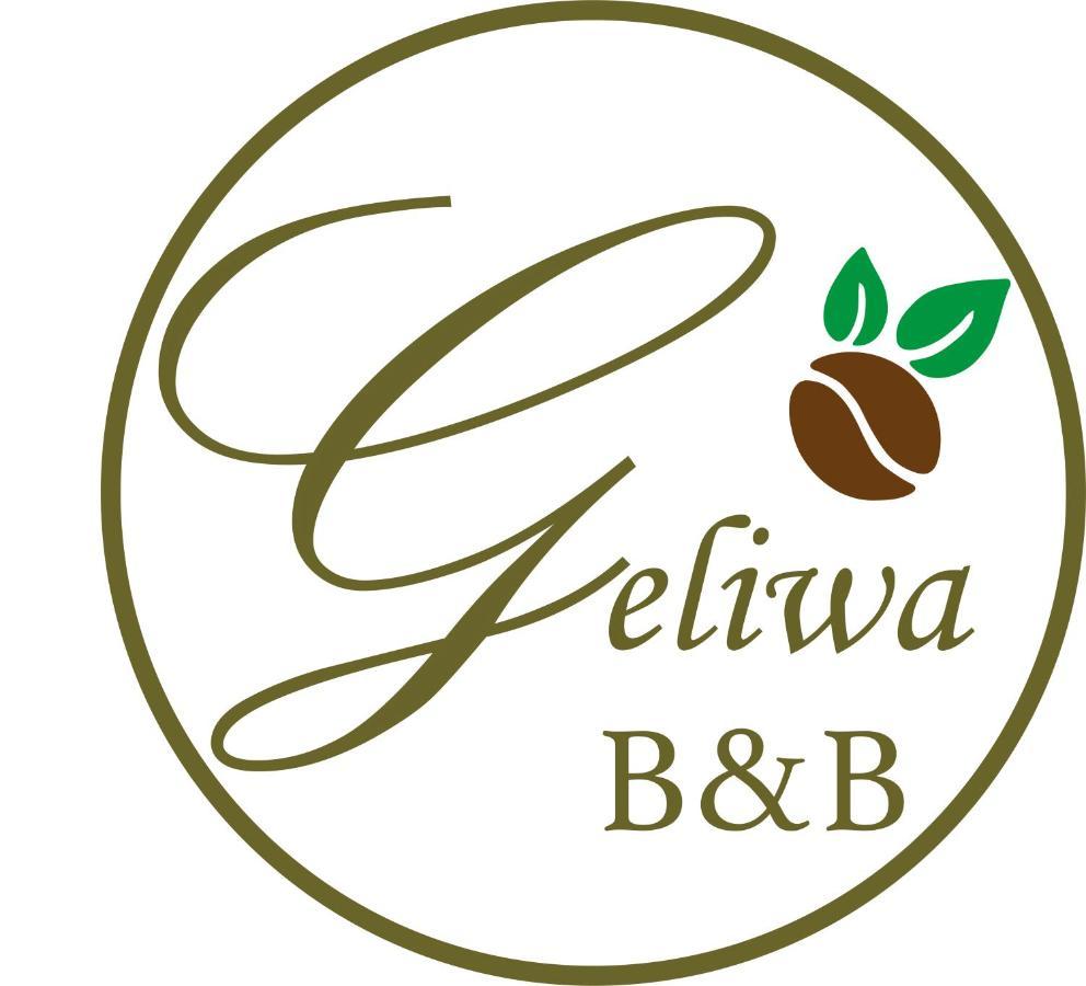 Hotel Geliwa Turrialba Extérieur photo